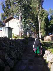 Island Amantani74